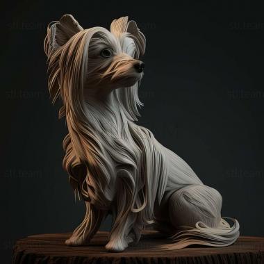 3D model Chinese Crested dog (STL)